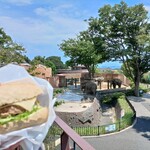 エレファントカフェ - テラスより