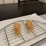 天ぷら料理 さくら - 