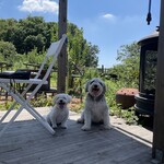 農園カフェ yamaki - 