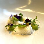 エスキス - ⚫︎静寂‥烏賊、空豆、カモミール
      サッと火を通した赤烏賊に、茹でた空豆、甘みのあるブロッコリーのペースト、飾りはコスモスの花びらにカモミール、泡立つソースは、烏賊のお出しにカモミールシロップ。