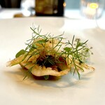 エスキス - ⚫︎浸透‥茄子、白エビ、ハーブ
      しっとりと蒸し焼きにした後、葡萄の搾カスに漬けた長茄子、リコッタチーズのペースト、カリッと揚げた白エビ、コリアンダー、アニス、パセリ。コリアンダーの香りがクセになる。