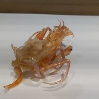 天ぷら 福たろう - 