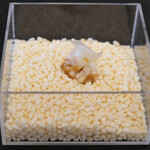 Simplicité - ランチコース 12100円 の白味噌を使ったチョコレート