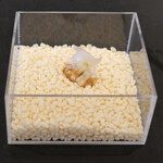 Simplicité - ランチコース 12100円 の白味噌を使ったチョコレート