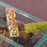 Simplicité - ランチコース 12100円 の白海老ソブラサーダ／フロマージュドテット