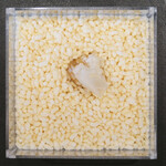 Simplicité - ランチコース 12100円 の白味噌を使ったチョコレート