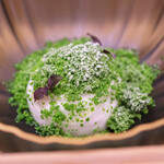 Simplicité - ランチコース 12100円 のうこぎ ヨーグルト添え