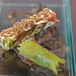 Simplicité - ランチコース 12100円 の白海老ソブラサーダ／フロマージュドテット