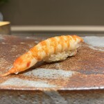 鮨 ひじり - 車海老