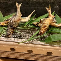 吉星 - 