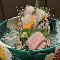 お料理 七草 - 天然本鮪のカマトロに真鯒に九絵の造り