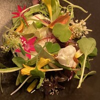 タケル クインディチ(LOQUAT) 西伊豆 - 