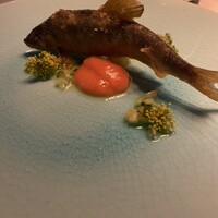 タケル クインディチ(LOQUAT) 西伊豆 - 