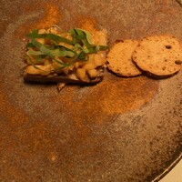 タケル クインディチ(LOQUAT) 西伊豆 - 