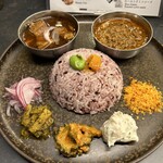 Curry Spice Gelateria KALPASI - 