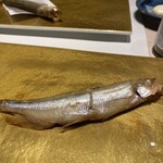 鮨のしはち - ししゃも