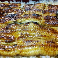 うなぎ割烹 大江戸 - 