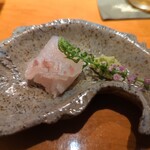 258429908 - ヒラメ