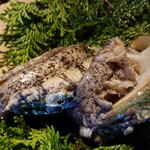 広丞庵　かのか - 鮑♪