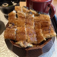 炭焼きうなぎ・かしわ 登河 池下店 - 