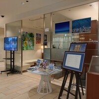 代官山ASO チェレステ 日本橋店 - 