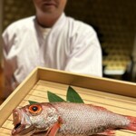 のどぐろ専門 銀座中俣 極 - 