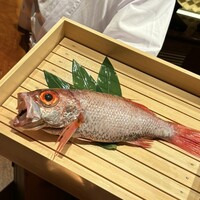 のどぐろ専門 銀座中俣 極 - 