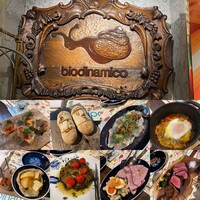 biodinamico - 