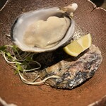 イザカヤ コン - 