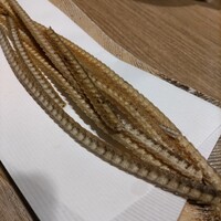 うなぎ和食 しら河 名駅店 - 