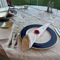 ギリガンズ アイランド - テーブルセットに薔薇の花ビラが一片。
