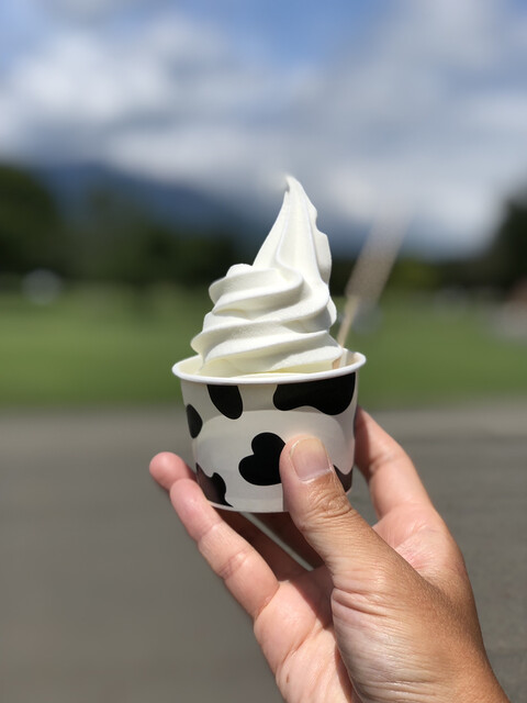 小岩井農場まきば園 軽食コーナー - 雫石町その他（ジェラート・アイスクリーム）の写真