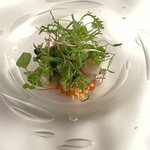 マダム・トキ - 