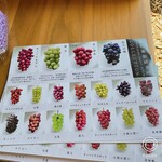 グレープショップ ココロ - 葡萄の種類