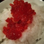 コンカドール - 