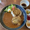 スパイス欧風カレー PAIKAJI