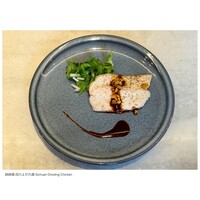 CINA New Modern Chinese - 