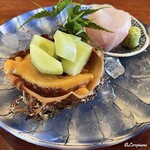 千陽 - 朝獲れ天然物の海鞘と糠塚きゅうりと幸神目抜の造り