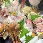 Umi No Sachi Shokudokoro Echizen - お造りはお客様のご要望がございましたら、活魚も盛り合わせいたします。