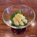 千陽 - 朝獲れのキタムラサキ海胆の造り