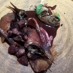 ラチュレ - 茨城産窒息鴨　サルミソース