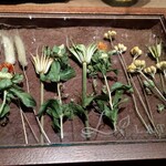 ラチュレ - セッティング