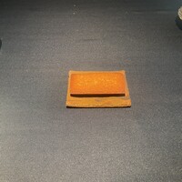 セルサルサーレ - 