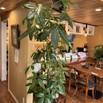 Catman Cafe - 内観