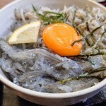 海の駅しおさい市場 - 大盛りダブルしらす丼！