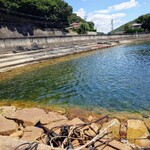 海の駅しおさい市場 - 