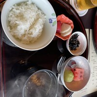 山茶花 - 