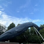 下町バル ながおか屋 - 