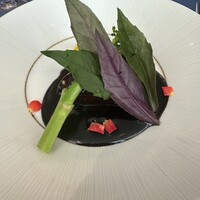 赤坂 桃の木 - 