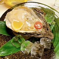 滝の川 福井御幸店 - 